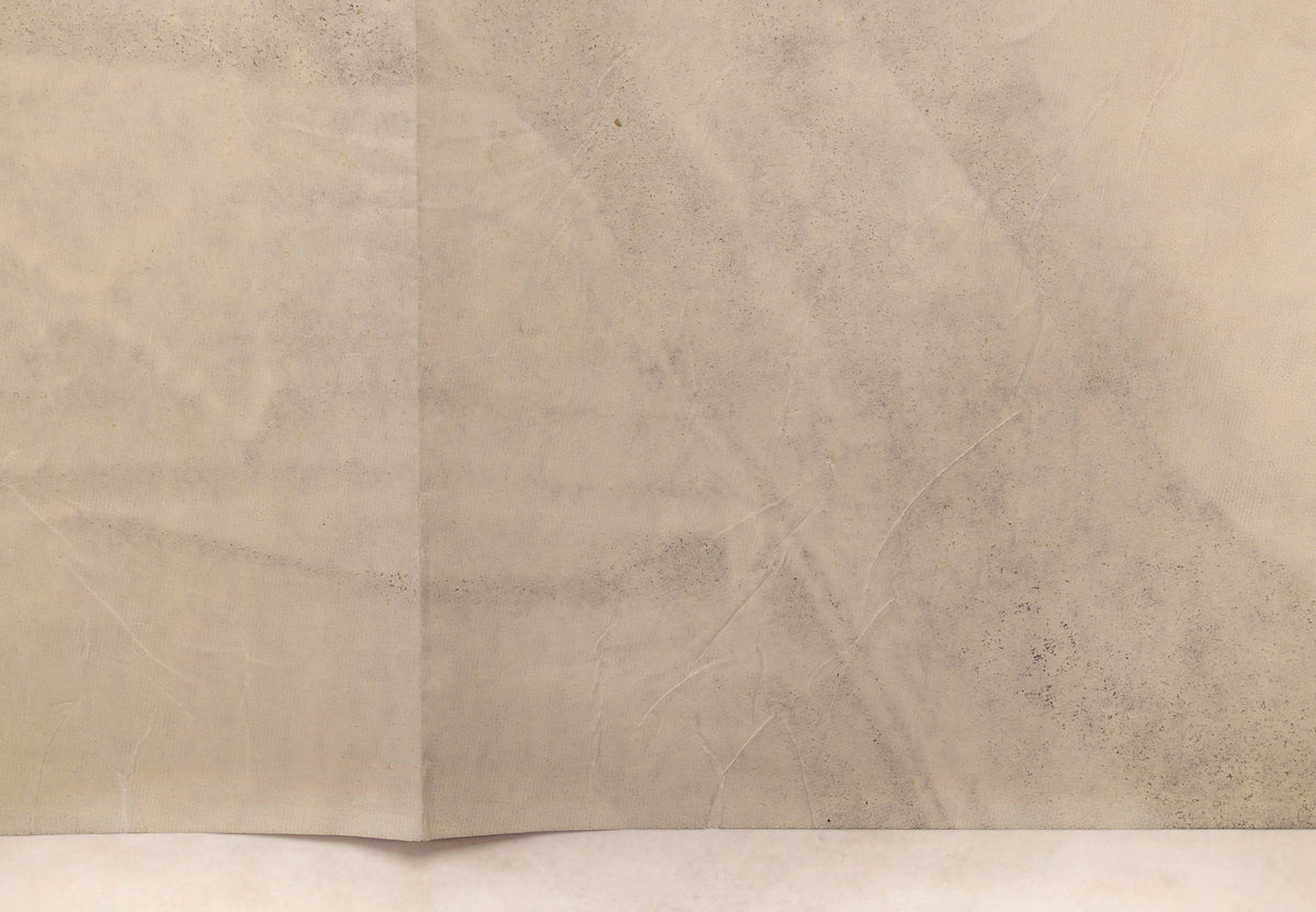 Close-up of the reverse showing scattered surface soiling, creasing, and age-related wear.