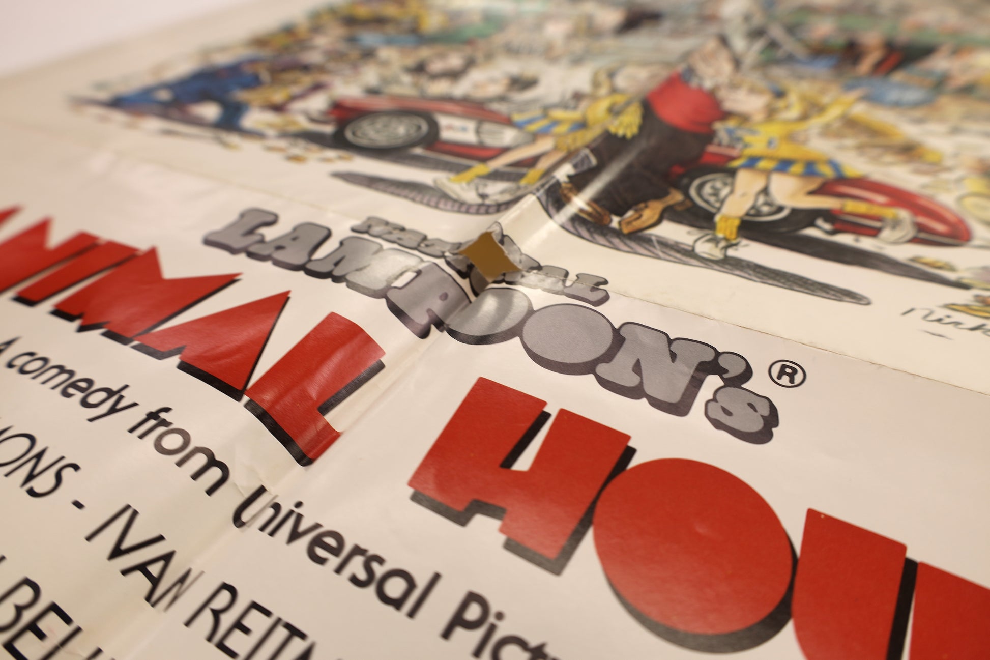 Close-up of Animal House (1978) one sheet poster showing separation and small paper loss at an intersecting fold line within the printed artwork.